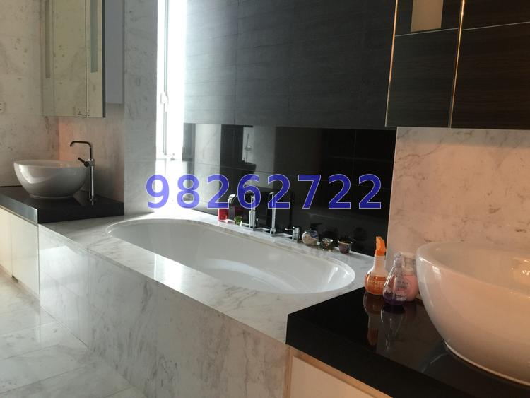 Orange Grove Residences (D10), Condominium #72349071
